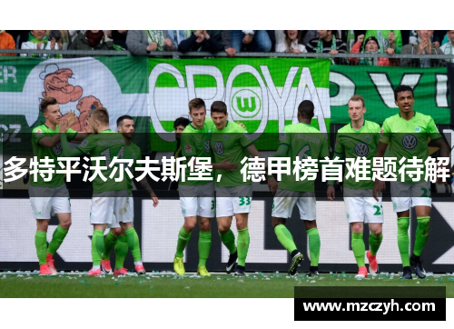 多特平沃尔夫斯堡，德甲榜首难题待解
