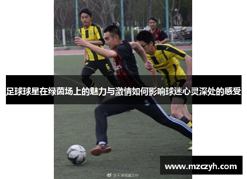 足球球星在绿茵场上的魅力与激情如何影响球迷心灵深处的感受