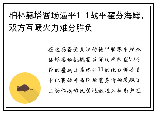 柏林赫塔客场逼平1_1战平霍芬海姆，双方互喷火力难分胜负